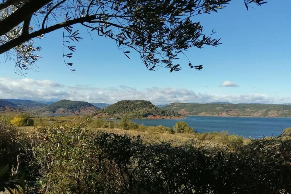 Studio 32m2 - dans propriété avec vue imprenable sur le Lac du Salagou Liausson Exterior foto